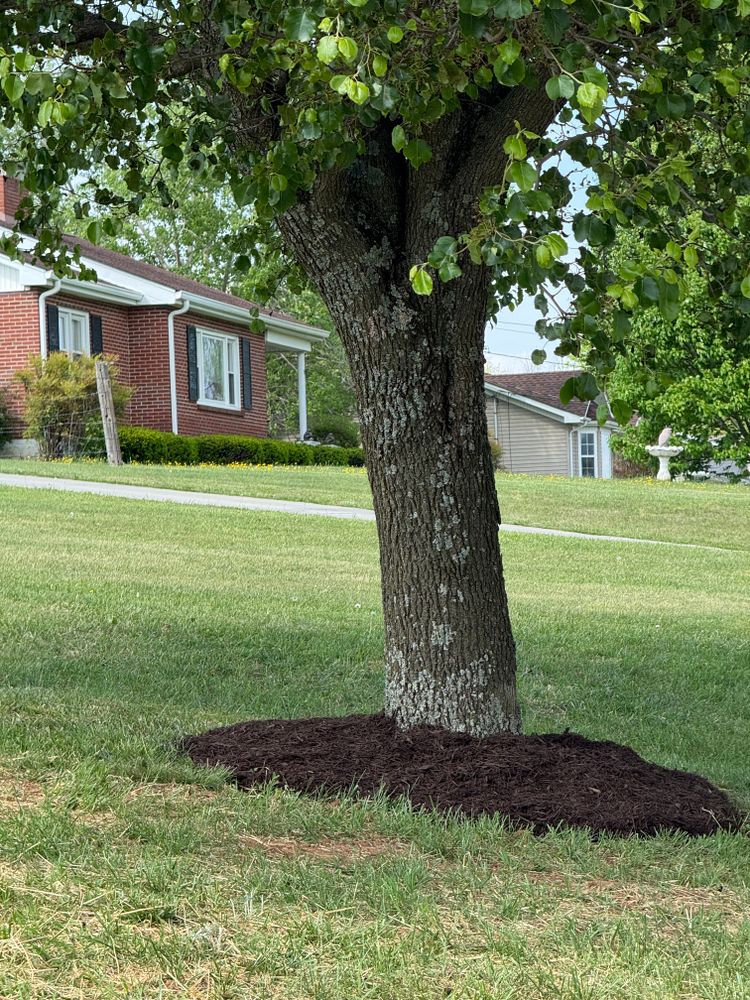 All Photos for Legends Lawn Care in Johnson City, TN
