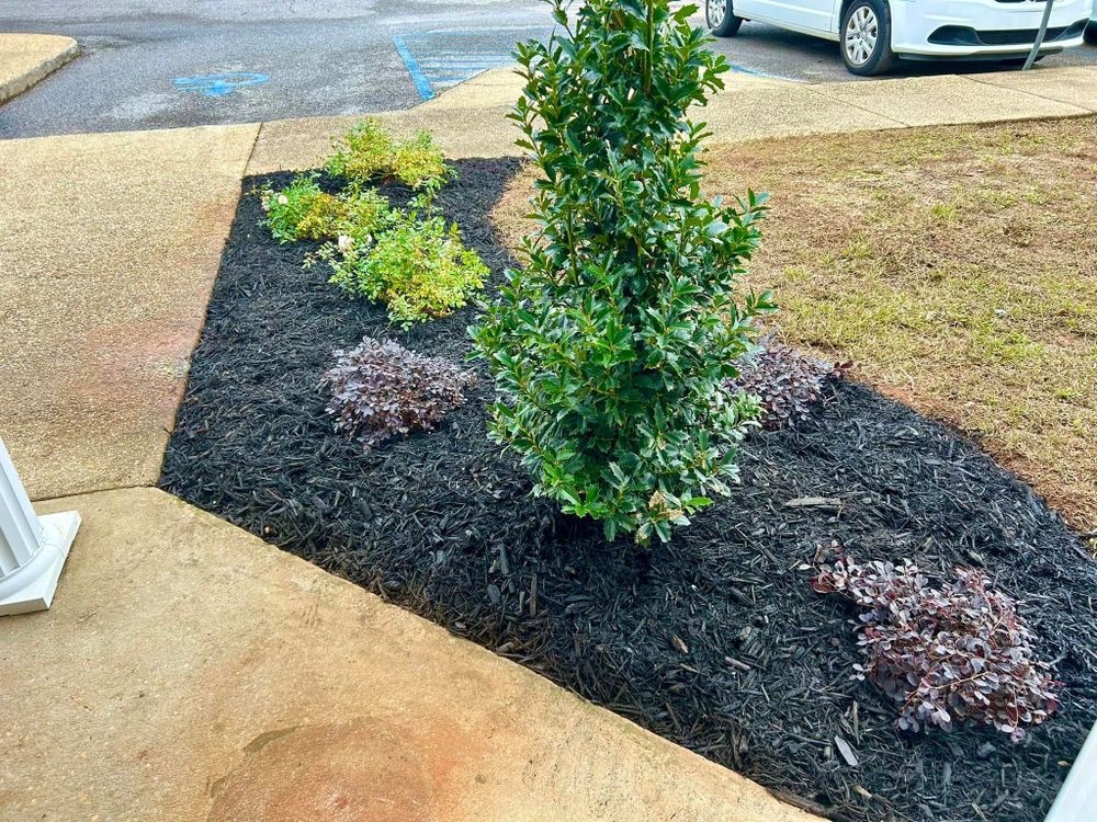 All Photos for Old Florida Lawncare in Baker, FL