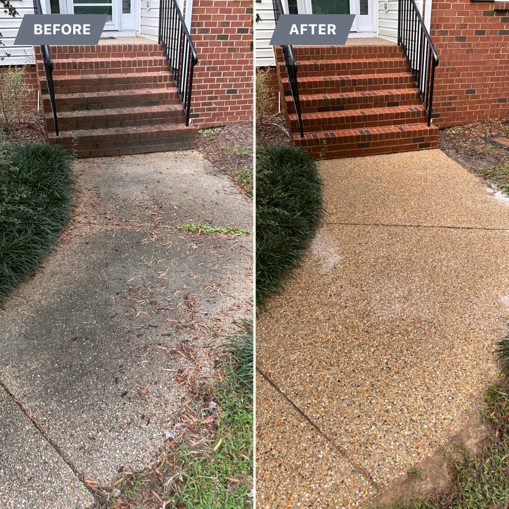 All Photos for LeafTide Solutions in Richmond, VA