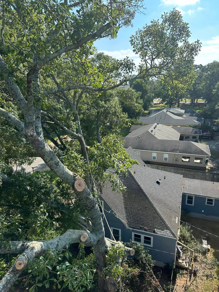 All Photos for ArborMax in Thomaston, GA