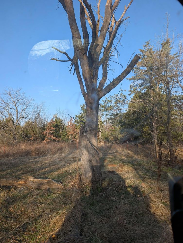 All Photos for Nathan Foyil Bobcat Work in Edmond, OK