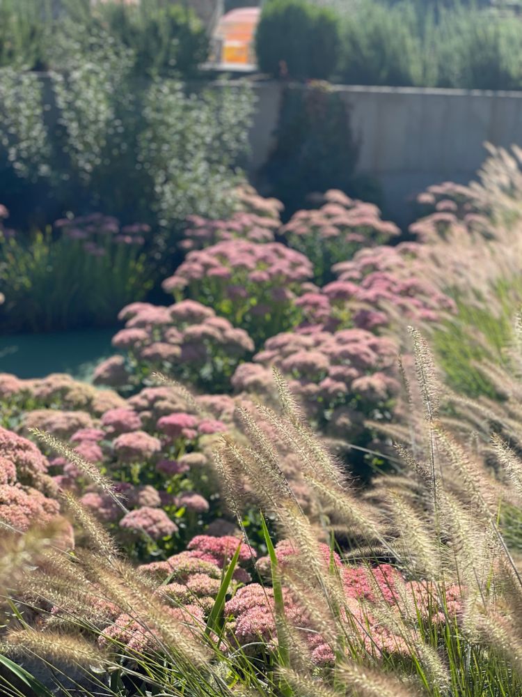 All Photos for Courtney Lewis Landscape Design in Portland, OR