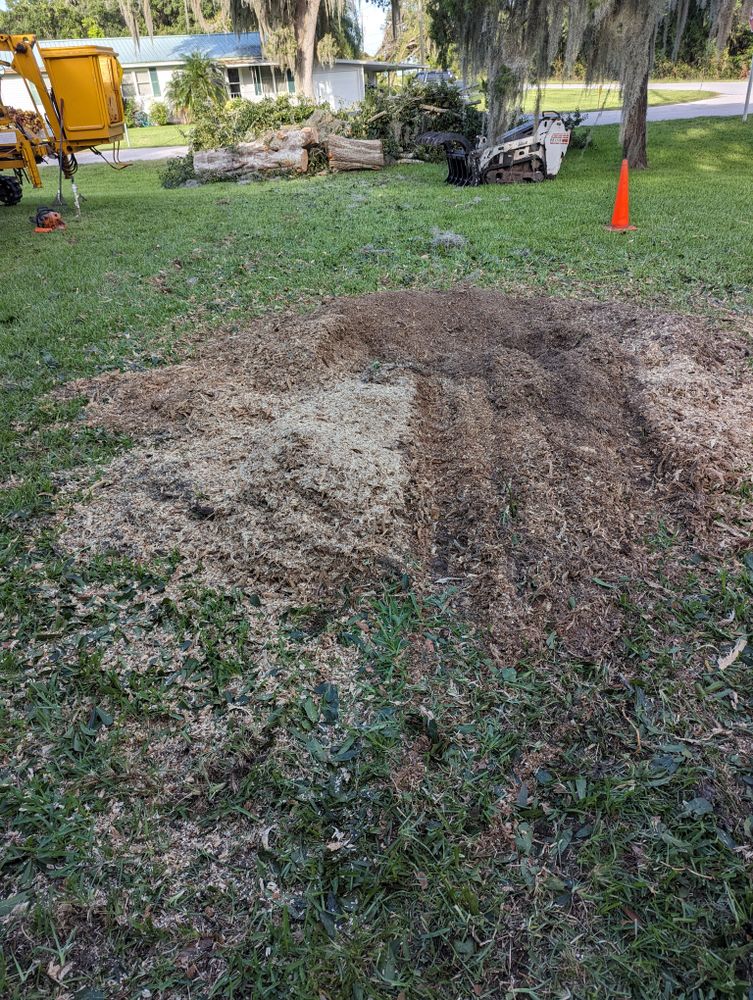 All Photos for Regal Tree Service and Stump Grinding in Wauchula, FL