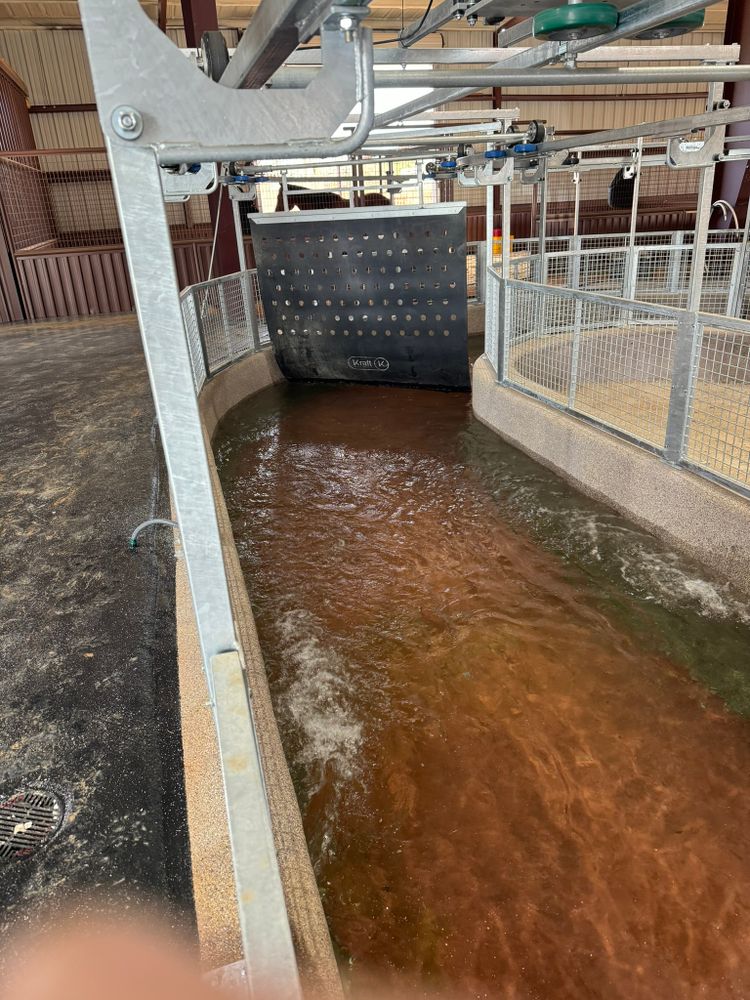 Custom Ground Horse Walker for Black Diamond Custom Pools LLC in Azle, TX