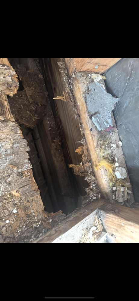 All Photos for Red Line Construction in Baldwin County,  AL