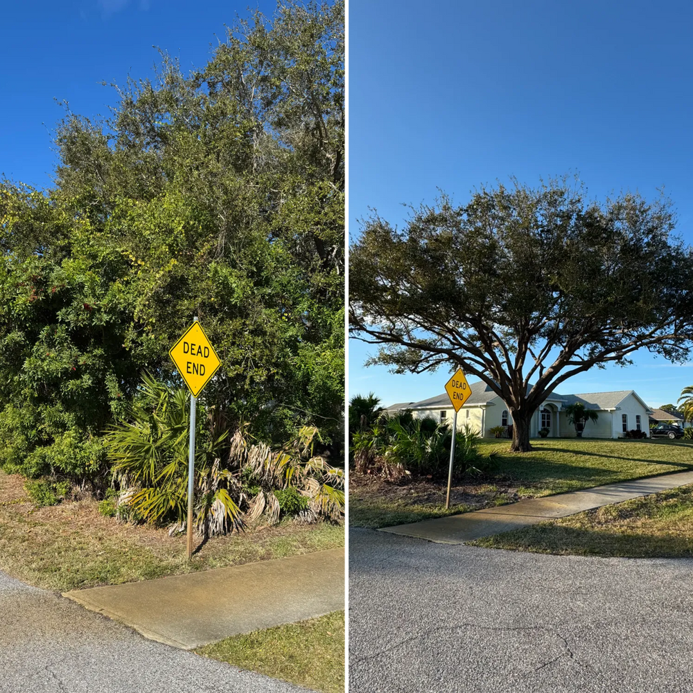 All Photos for Lemon Bay Tree Service  in Englewood, FL