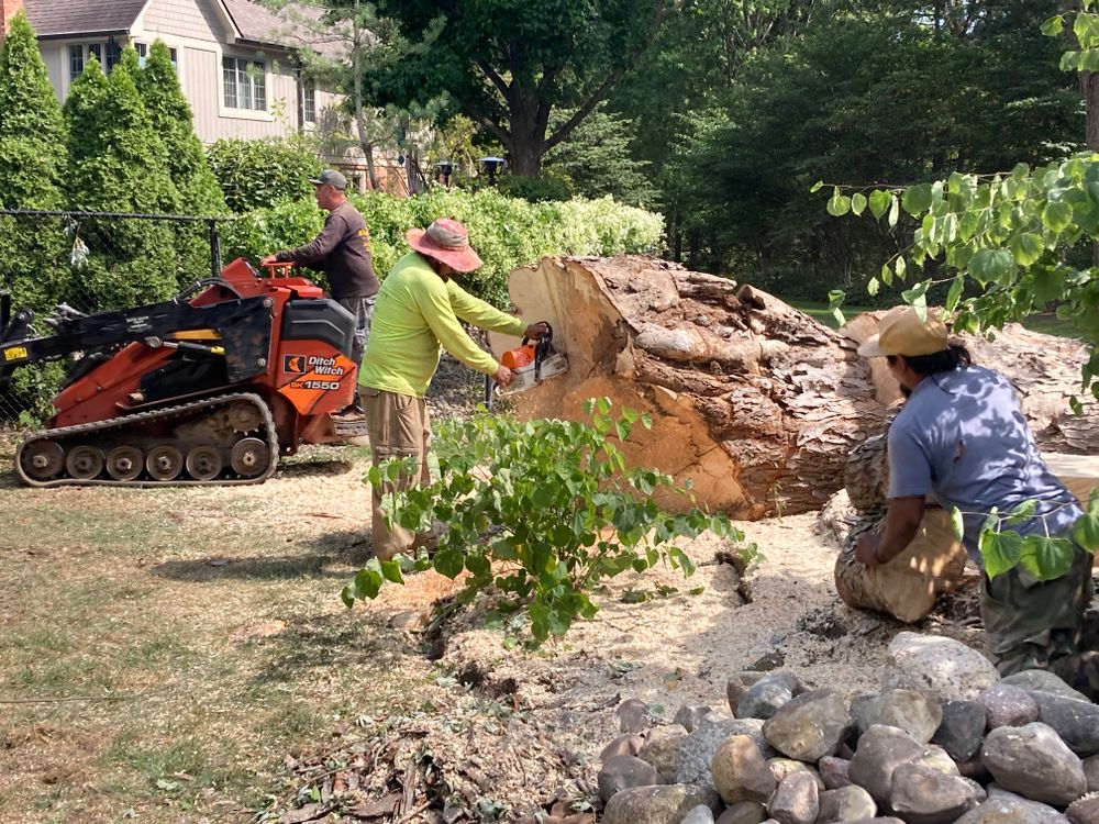 All Photos for Village Tree Service  in Whitestown, IN