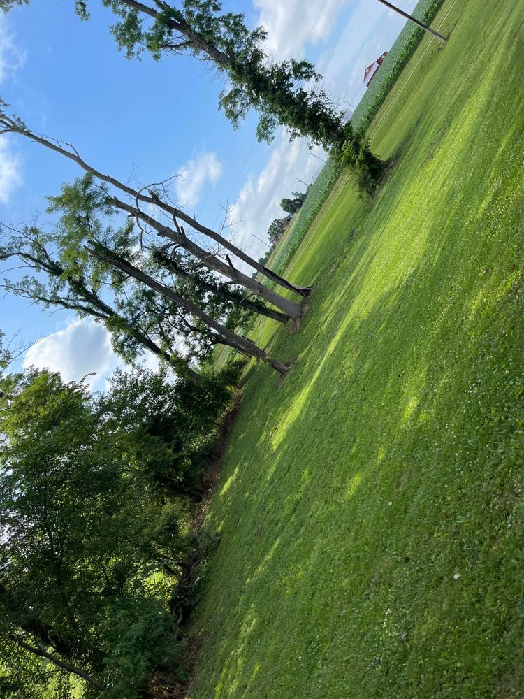 All Photos for Chapmans Lawncare and Landscaping in Connersville, IN