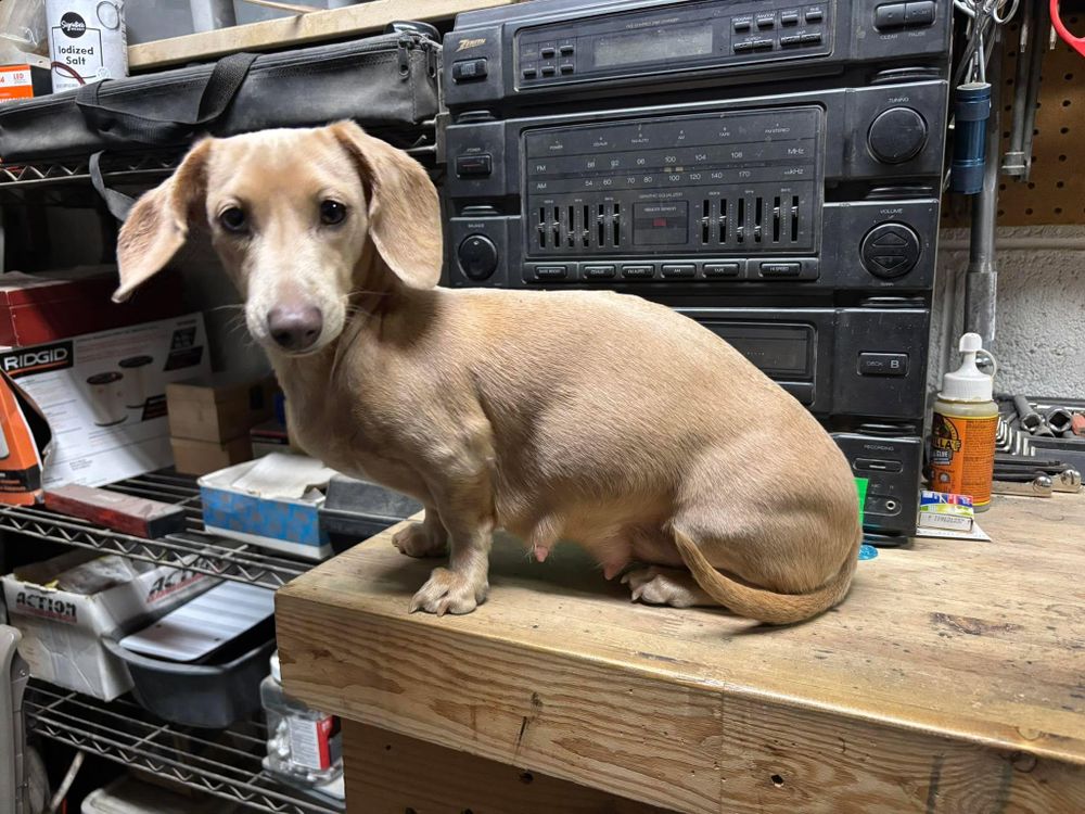 All Photos for Falls Property Services  in Idaho Falls, ID