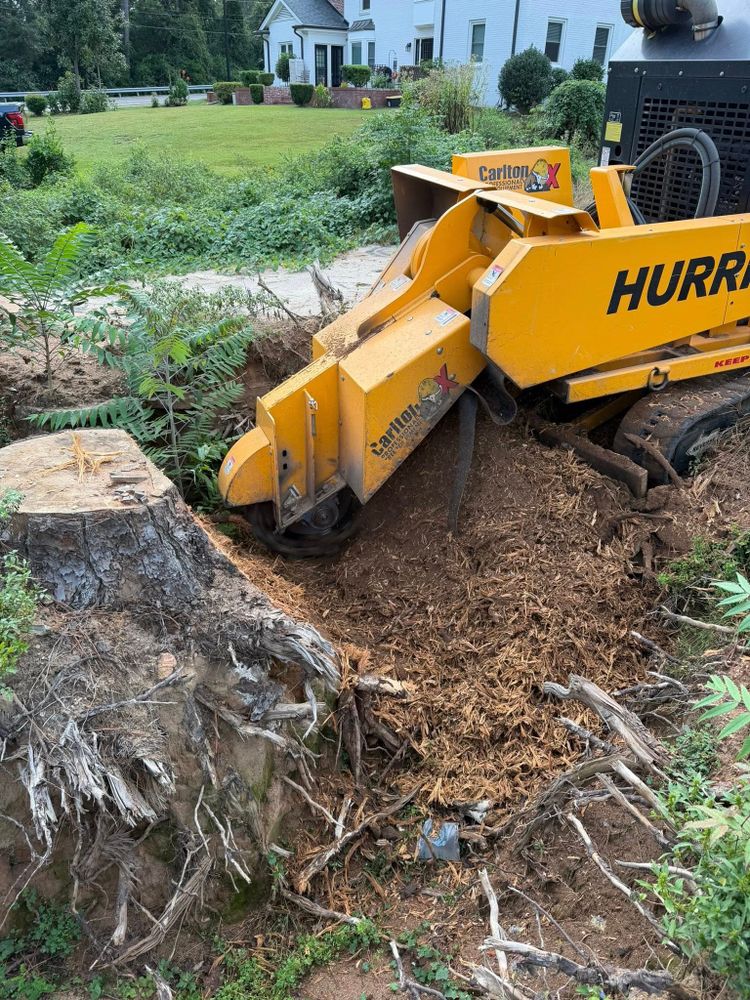 All Photos for Dozier Stump Grinding in Augusta, GA