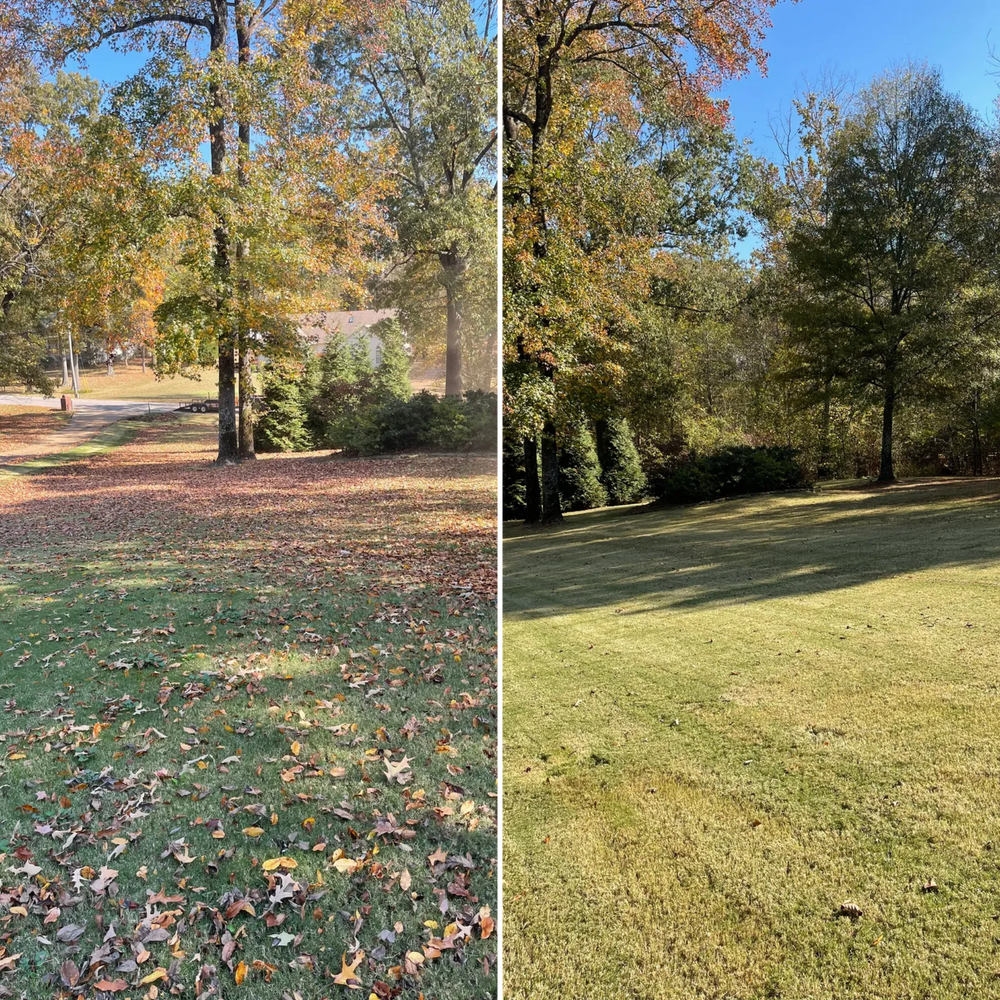 All Photos for Kelso's Lawn Maintenance in Jackson, TN
