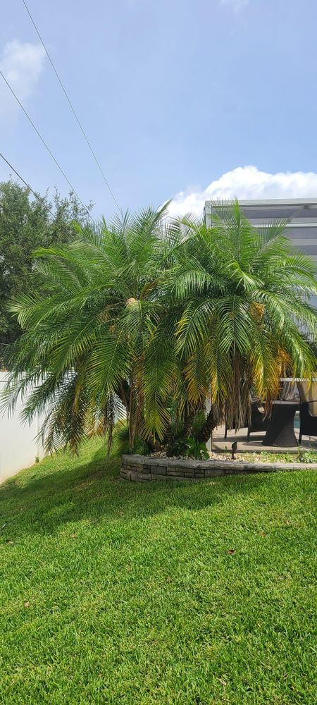 All Photos for TopNotch Landscaping Services  in The Villages, FL