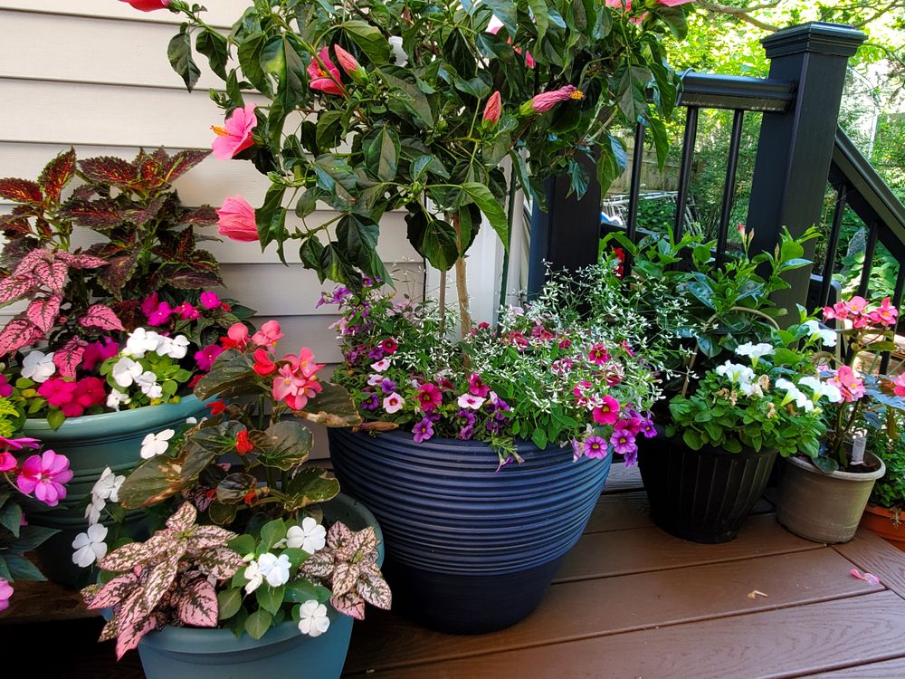 All Photos for Evolution Earthscapes, LLC in Ludlow, MA