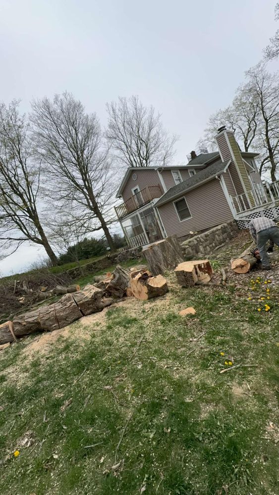 Our Stump Removal service ensures complete elimination of unsightly tree stumps from your property, enhancing its appearance and creating a safe environment for landscaping and outdoor activities. for Branching Out Tree Service in Hastings, MI