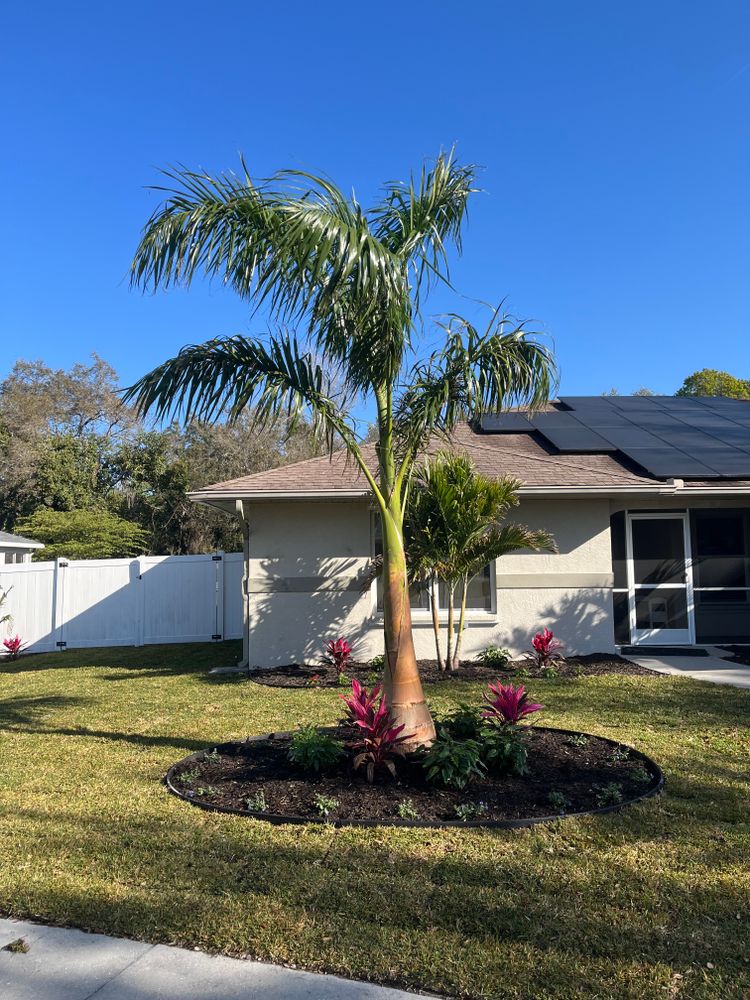 Artificial Turf Installation for Hefty's Helpers in Saint Petersburg,  FL