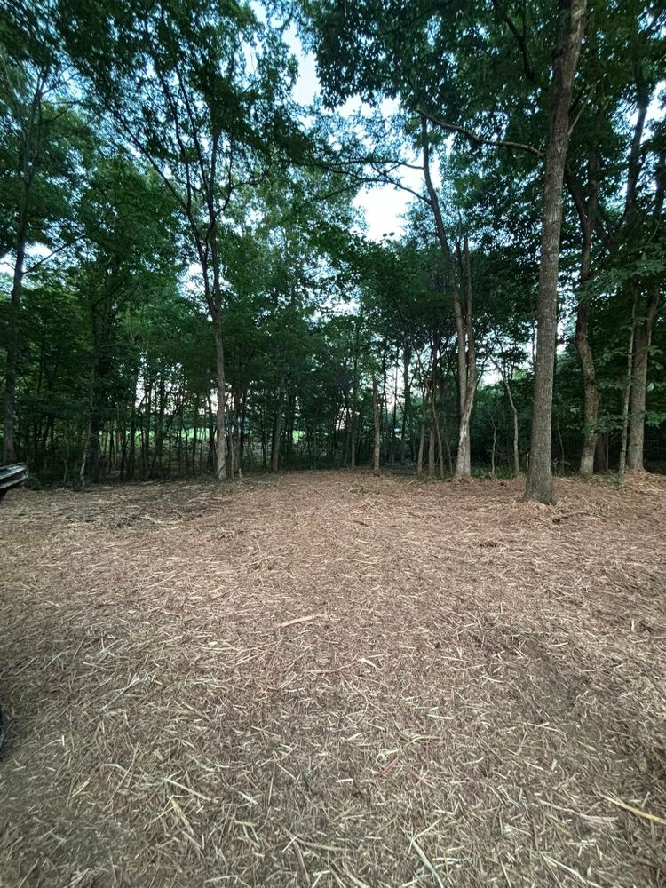 Enhance your property's landscape with our Forestry Mulching service, providing efficient land clearing and mulch installation to promote eco-friendly growth and enhance soil health while improving the aesthetics of your outdoor space. for JC Land Clearing in Shelbyville, TN
