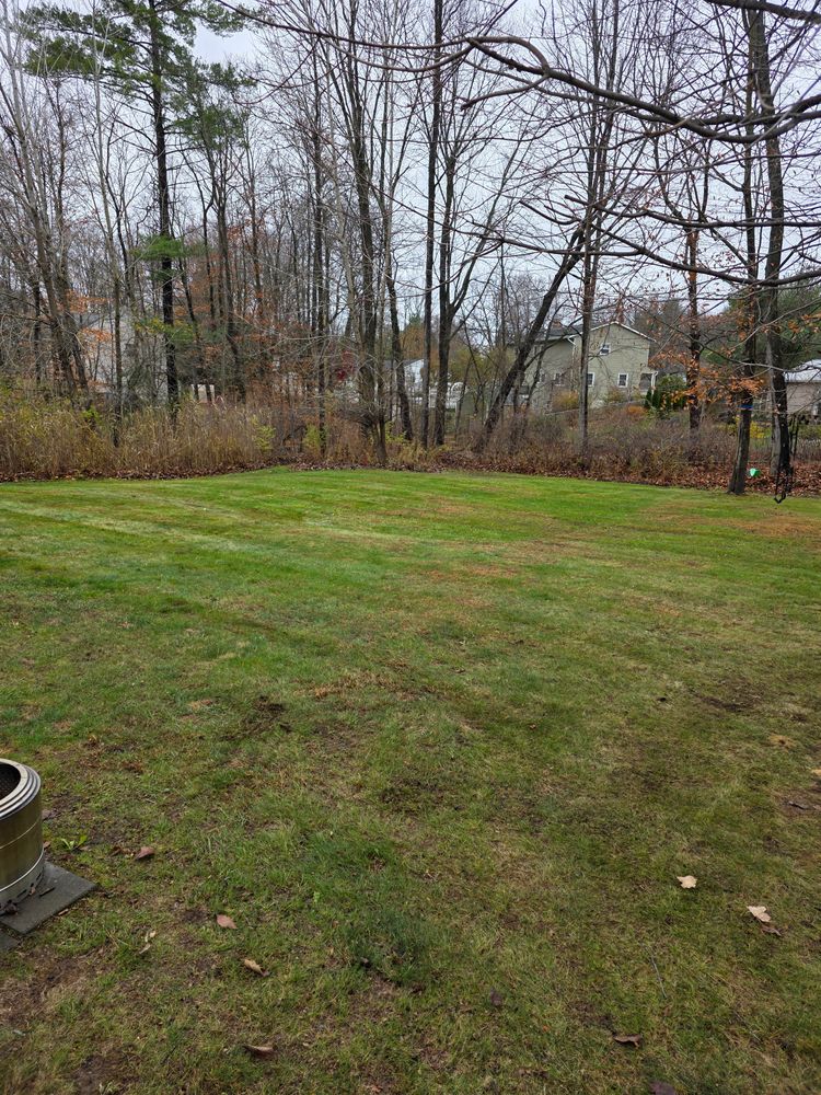 All Photos for Sweet Scapes in Ballston Spa, NY