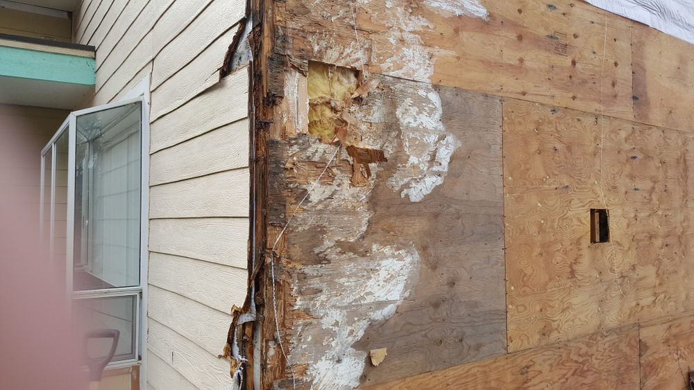 All Photos for Home Pros in Maple Falls, WA