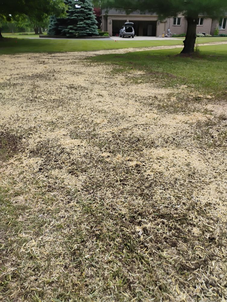 All Photos for Lighthouse Lawn Care and Irrigation in Marysville, MI