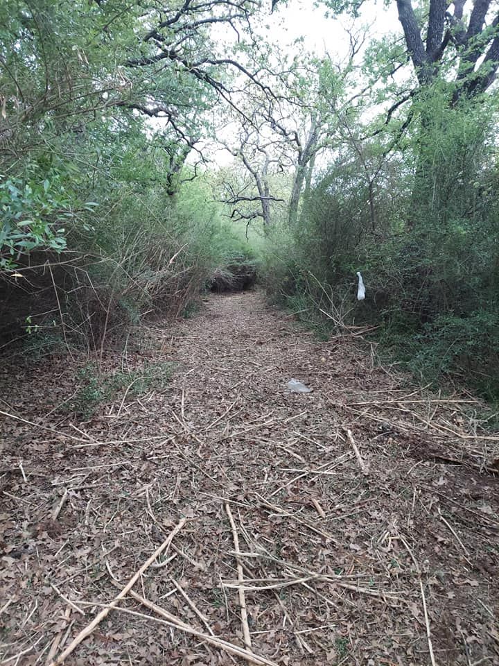 Lawn Care for 4H Property Services in Sanger, TX