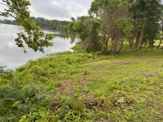 All Photos for Lewis Oaks Landscaping in King and Queen County, VA