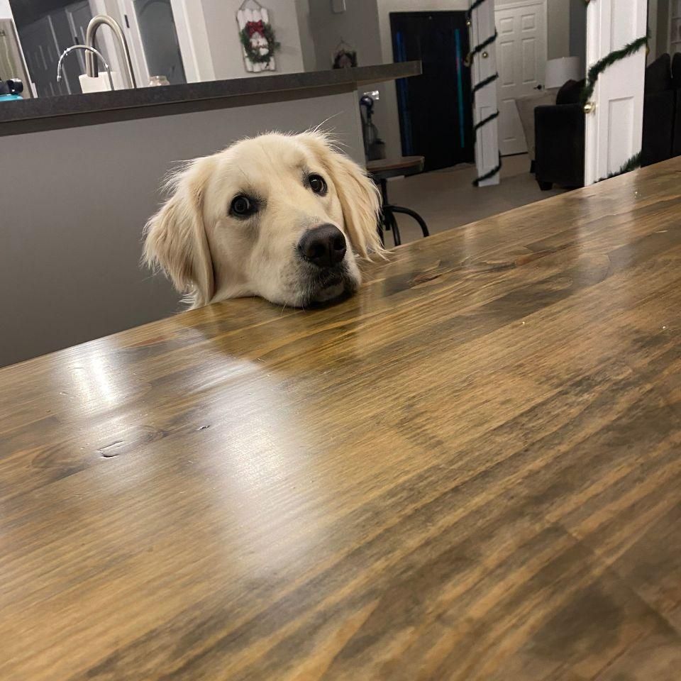 All Photos for Conley Brothers Painting in Mishawaka, IN