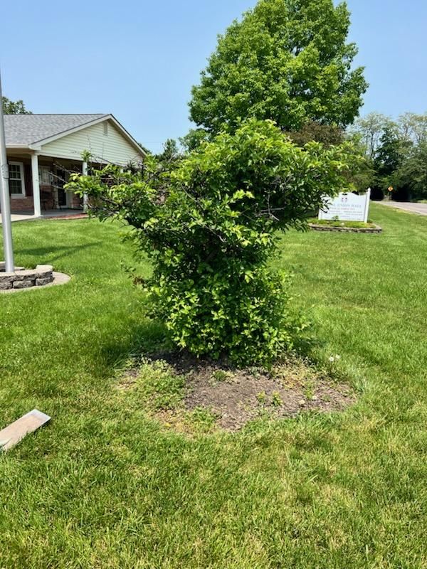 All Photos for Robbie's Lawn Care, LLC in Middletown, OH