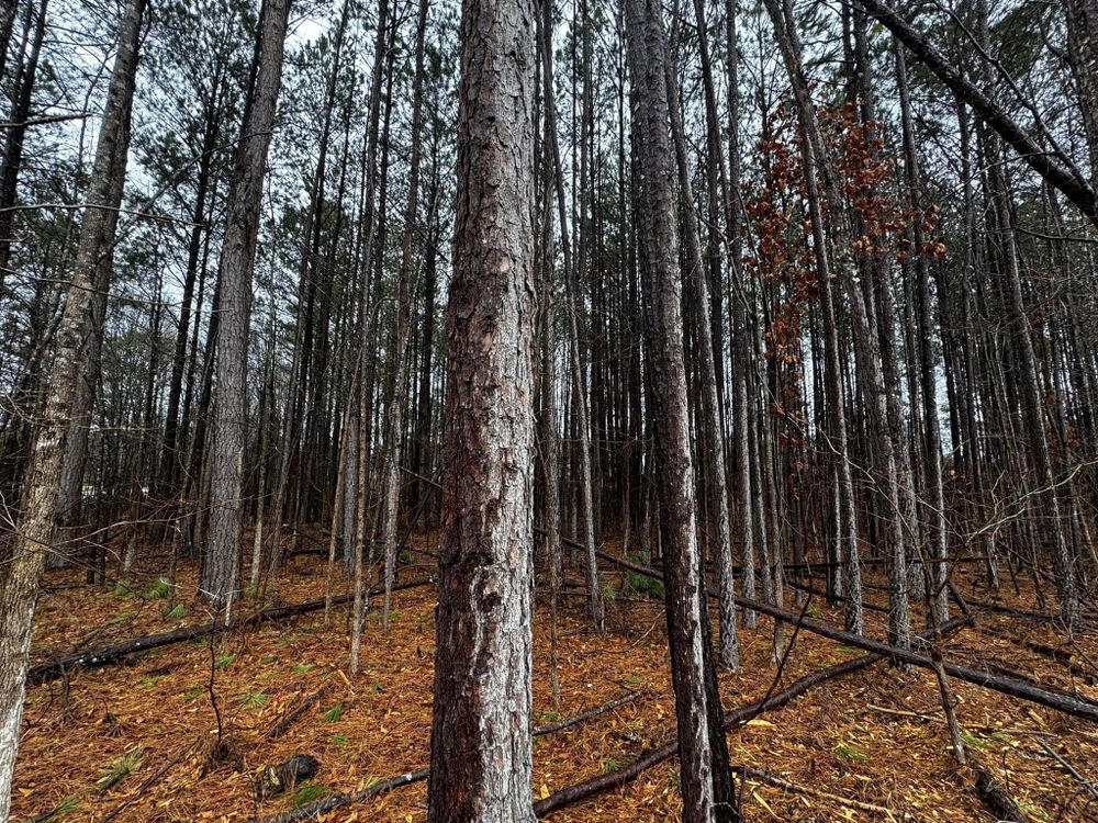 Excavation for Bryant's Land Services in Forsyth, GA