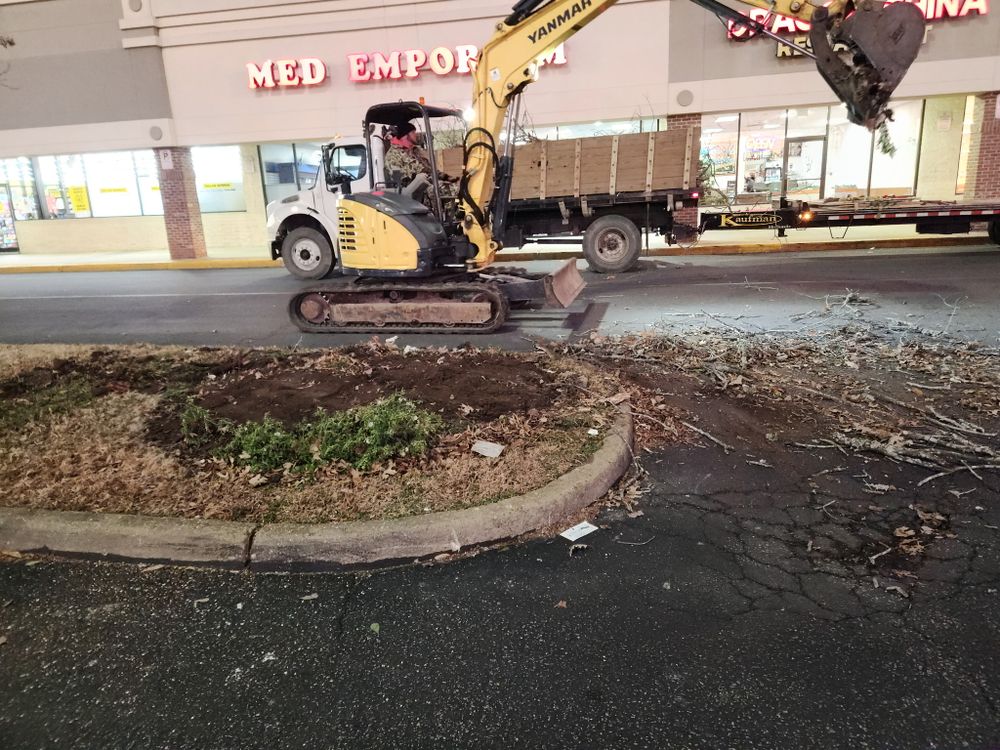 All Photos for Tidewater Tree Service in Chesapeake, VA