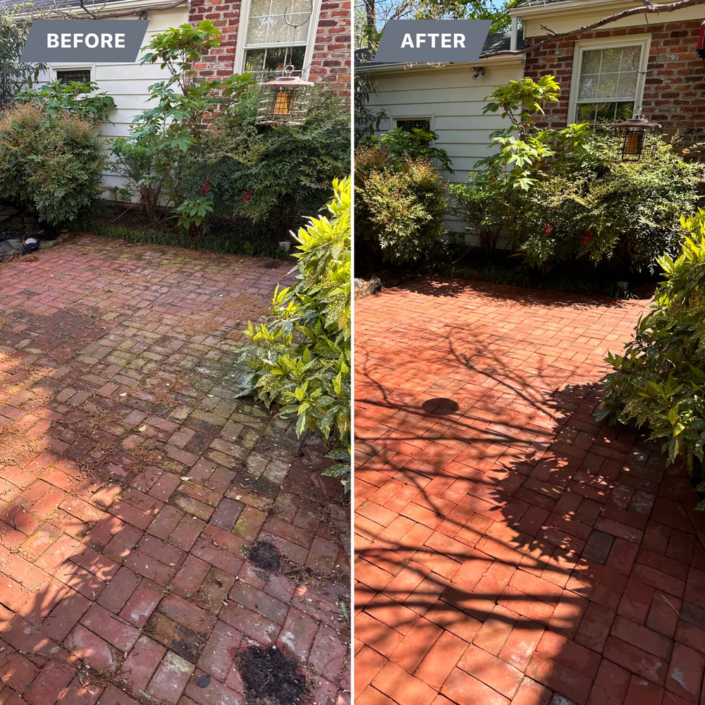 All Photos for LeafTide Solutions in Richmond, VA