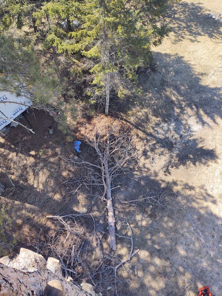 All Photos for Wenzels Tree Service LLC  in Bemidji, MN