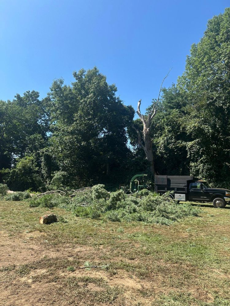 All Photos for Silver City Tree and Landscape in Taunton, MA