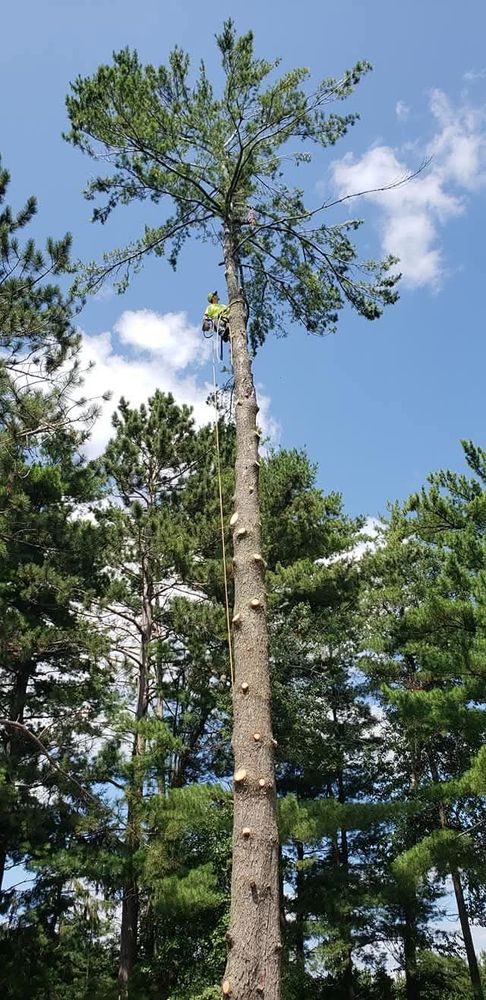 Sloan Tree Service team in Aurora, CO - people or person