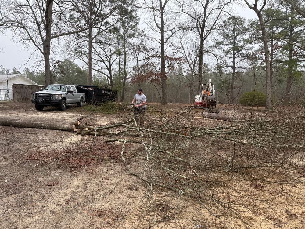 All Photos for T N L - Tree and Land Service in Reynolds, GA