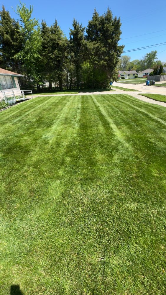All Photos for Yard Theory in Willowick, OH