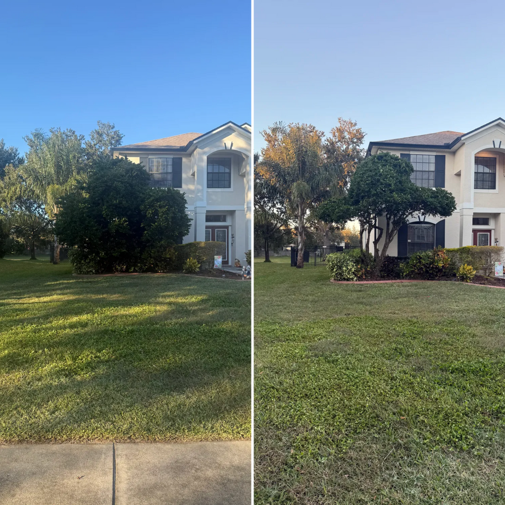 All Photos for Amerigrown Tree And Lawn in Apopka, FL