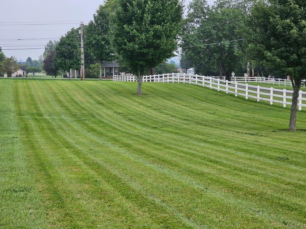 All Photos for Affordable Tree Service TN in White House, TN