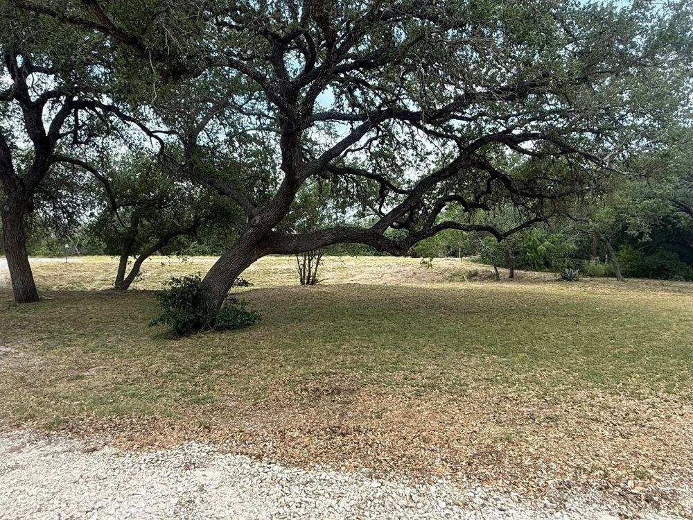 All Photos for Strause Land Improvement & Construction in George West, TX