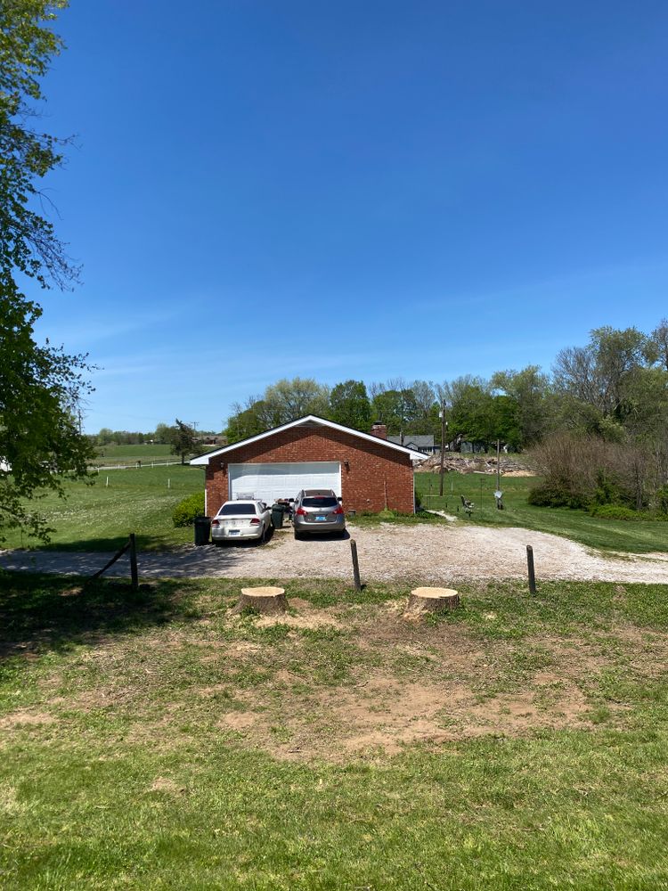 All Photos for Houtz Tree Service in Lexington, KY