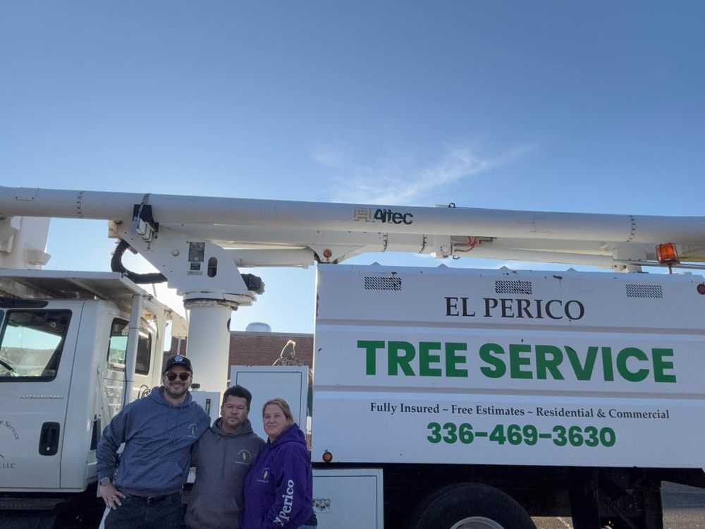 All Photos for El Perico Tree Service and Lawn Care, LLC in Boonville, North Carolina