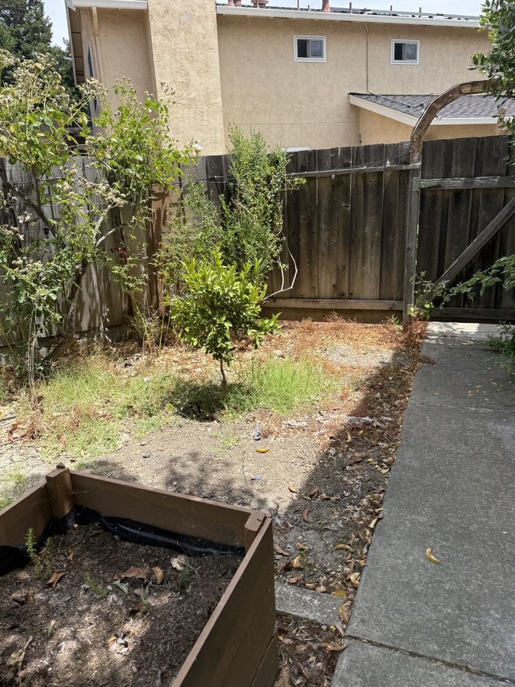 All Photos for CBA Landscaping in Hayward, CA