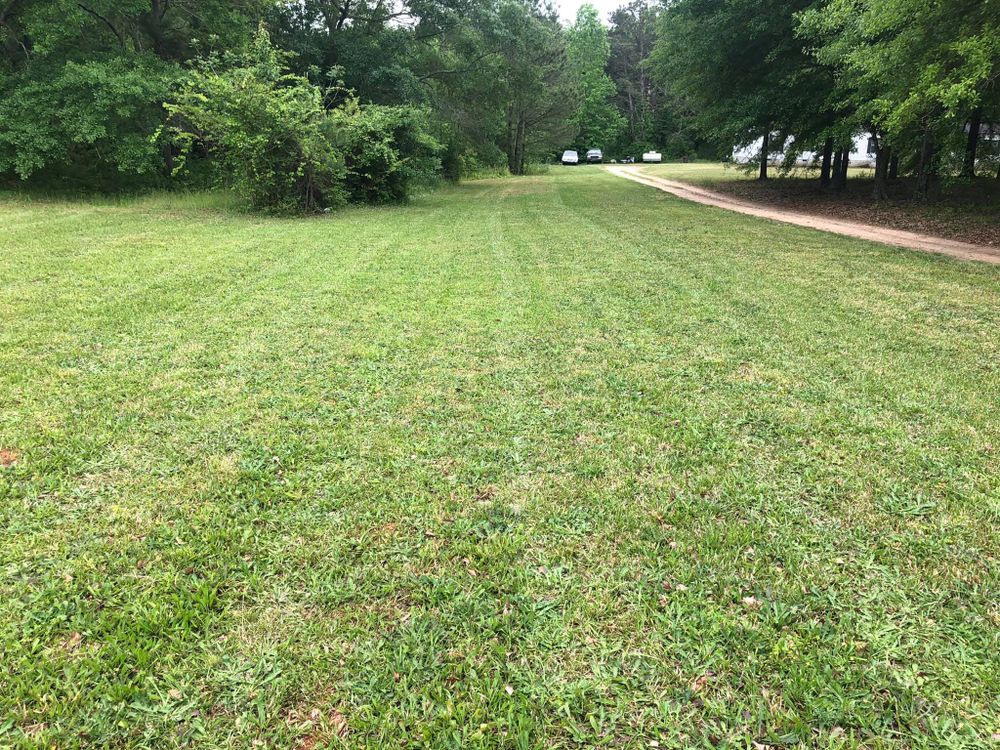 Fall and Spring Clean Up for Battle Lawn Maintenance in Eatonton, GA