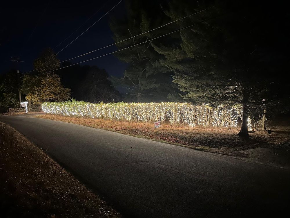 All Photos for Unique Outdoor Lighting in Short Hills, NJ