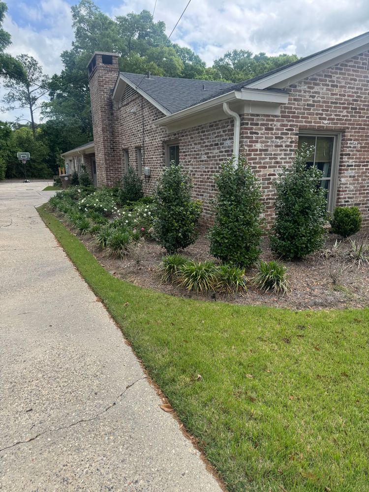 All Photos for Johnson Lawn Care and Maintenance in Mobile, AL