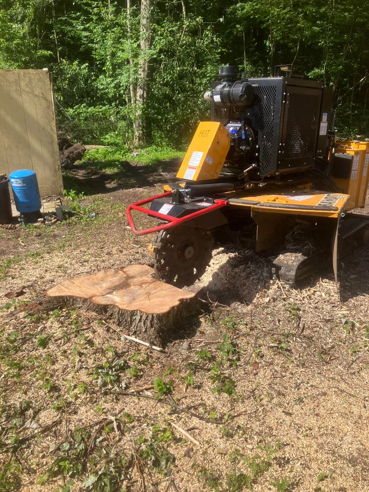 Our stump removal service safely eliminates unsightly tree stumps, restores your yard’s appearance, prevents tripping hazards and pest issues, and prepares the space for new landscaping or construction. for Lovenguth Logging and Tree Service in West Monroe, NY