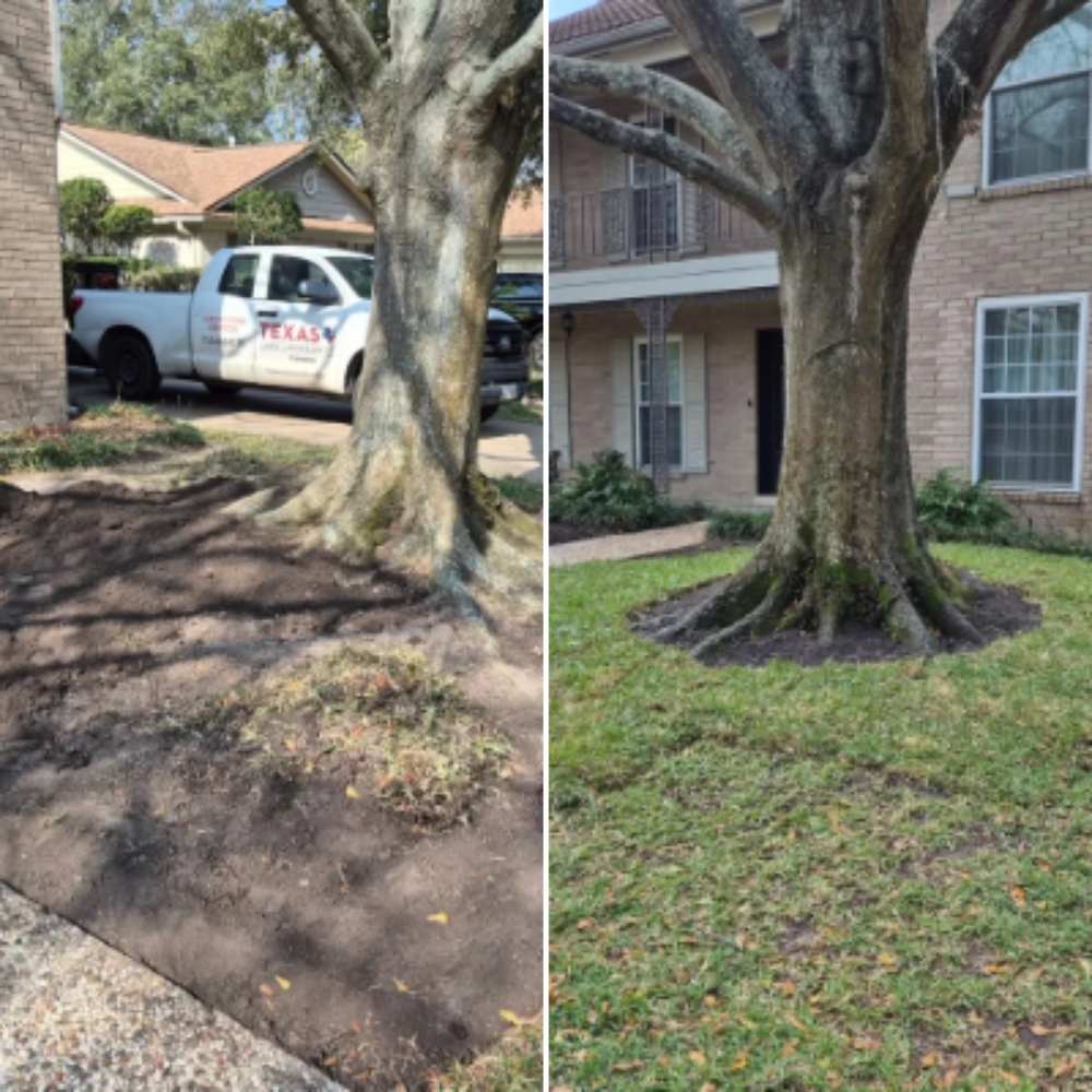 All Photos for Texas Lawn & Sprinkler Co. in Houston, TX