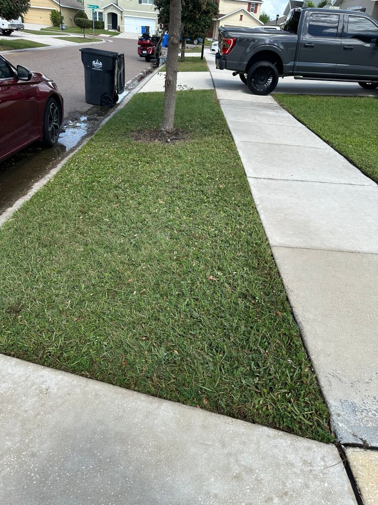 All Photos for The Yardman in Tampa, FL