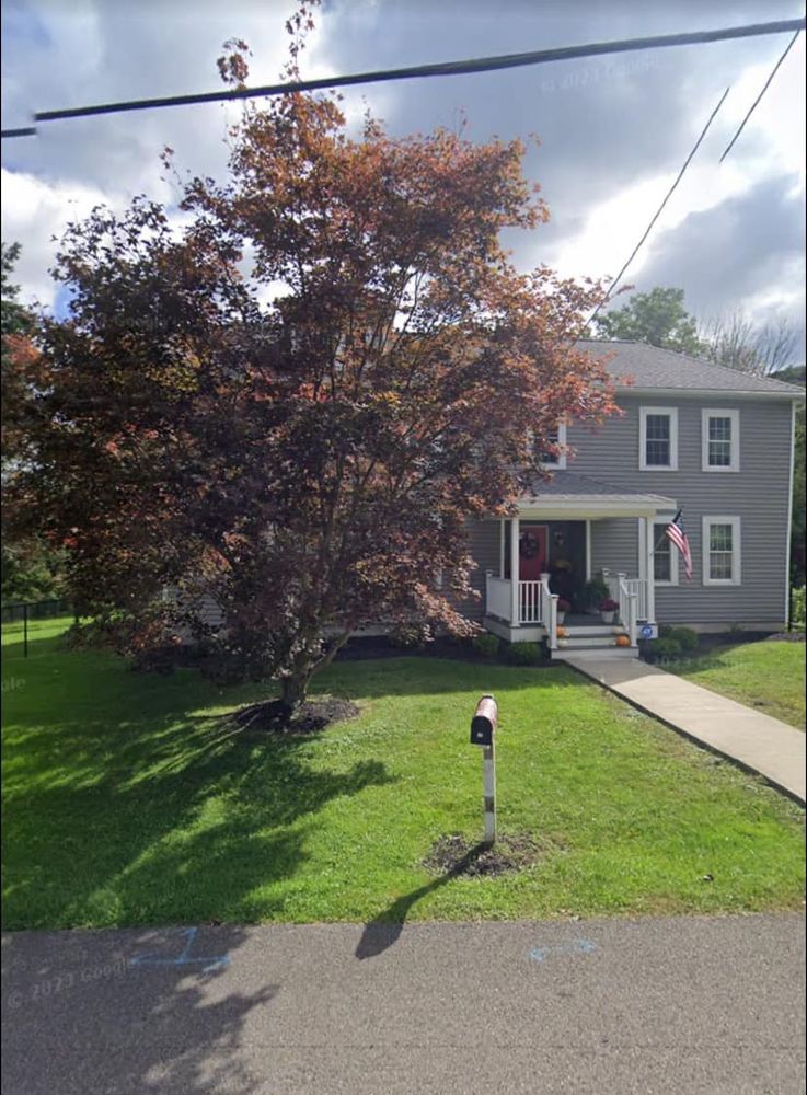 Tree Removal for Licensed to Cut in Athens, PA