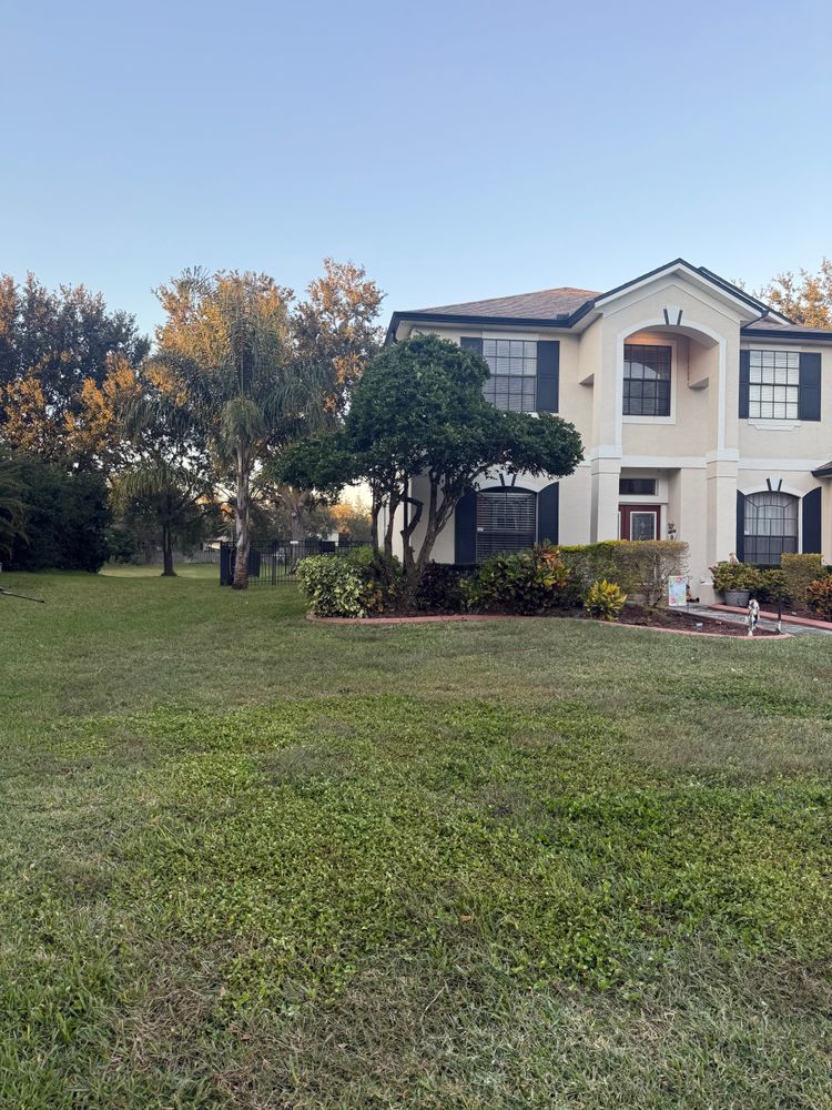 All Photos for Amerigrown Tree And Lawn in Apopka, FL