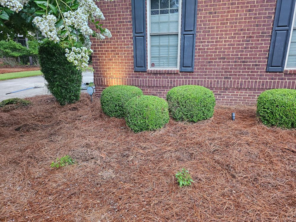 All Photos for 1 Man Does It Lawn Service in Blythewood, SC